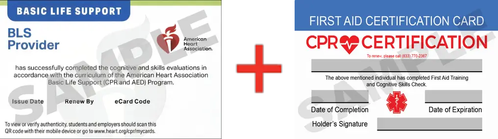Sample American Heart Association AHA BLS CPR Card Certification and First Aid Certification Card from CPR Certification Newport News